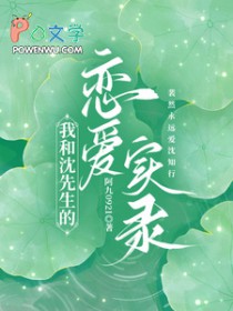 我和沈先生的恋爱实录